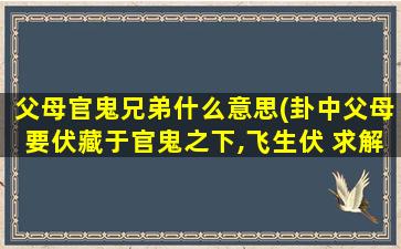 父母官鬼兄弟什么意思(卦中父母要伏藏于官鬼之下,飞生伏 求解卦 不知道什么意思)